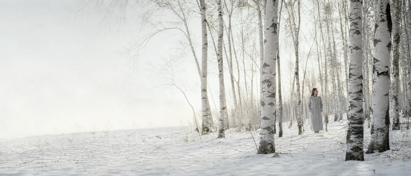 Illustration: a snowy birch grove in soft winter light, a distant figure in a pale coat